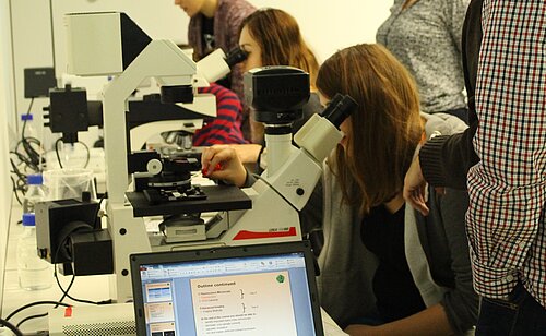 Students looking into microscopes during a light microscopy course at CMCB
