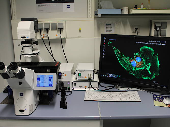 CFCI - Zeiss Observer with ApoTome