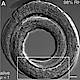 Fig.2 taken from Erkut et al, 2011.