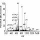 Fig.1 taken from Galli et al, 2011.