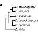 Fig.1 taken from Kalinka et al, 2010.