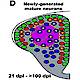 Fig.8 taken from Kroehne et al, 2011.