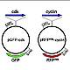 Fig.1 taken from Lange et al, 2009.