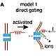 Fig.6 taken from Liang et al, 2013.