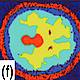 Fig.6 Taken from Torsney-Weir et al, 2011.