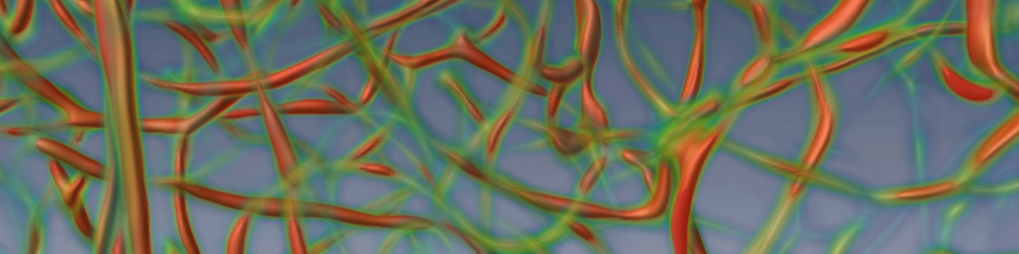 3D reconstruction of a blood vessel network of a part of a mouse brain (hippoocampus)