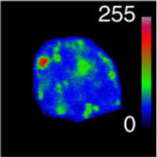 Fig.6 taken from Arai et al, 2011.