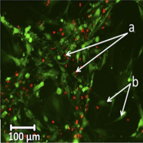 Fig.1 taken from Balyura et al, 2015.