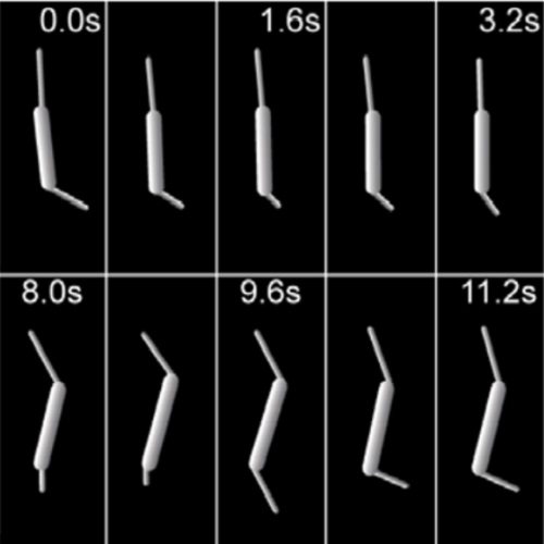 Fig.1 taken from Baumgaertner et al, 2014.