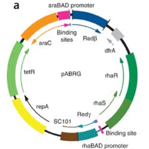 Fig.3 taken from Bird et al, 2012.