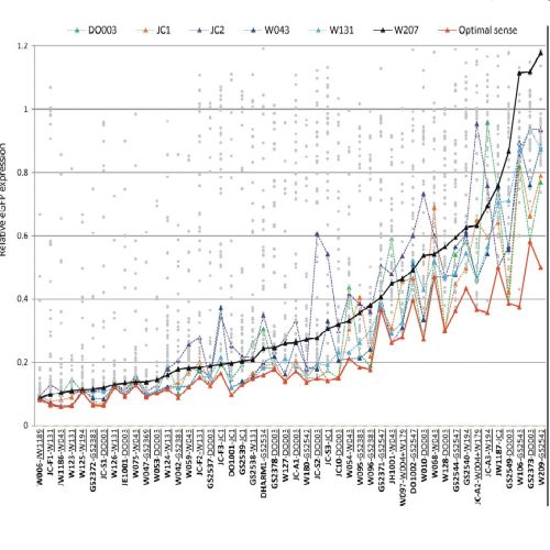 Fig.3 taken from Bramsen et al, 2009.