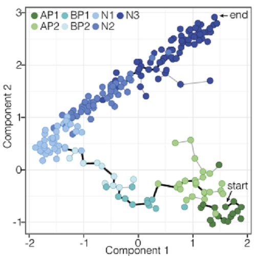 Fig.2 taken from Camp et al, 2015.