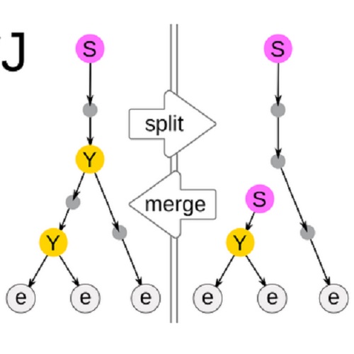 Fig.2 taken from Cardona et al, 2012.