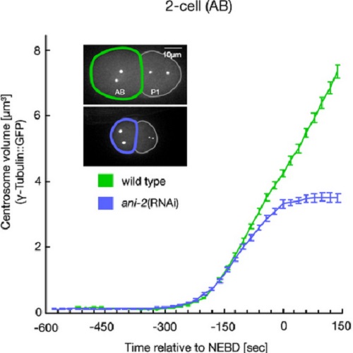 Fig.1 taken from Decker et al, 2011.