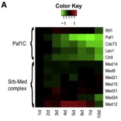 Fig.5 taken from Ding et al, 2009.