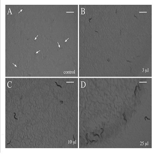 Fig.3 taken from Entchev et al, 2008.