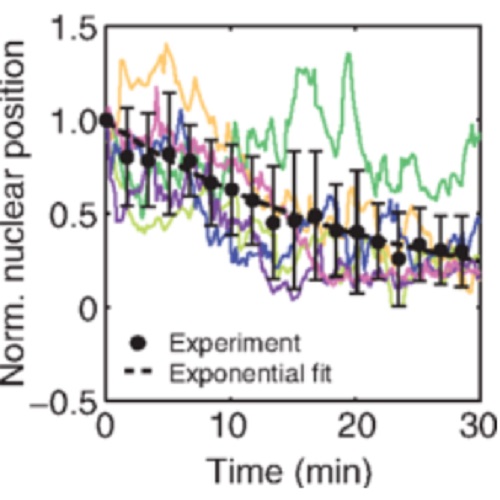 Fig.3 taken from Glun?i? et al, 2015.