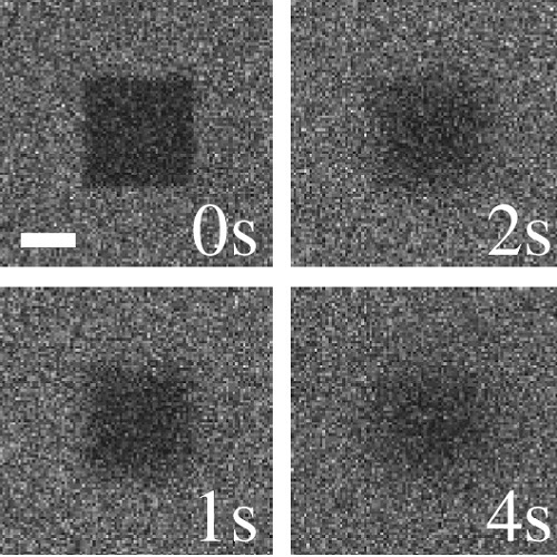 Fig.1 taken from Goehring et al, 2010.