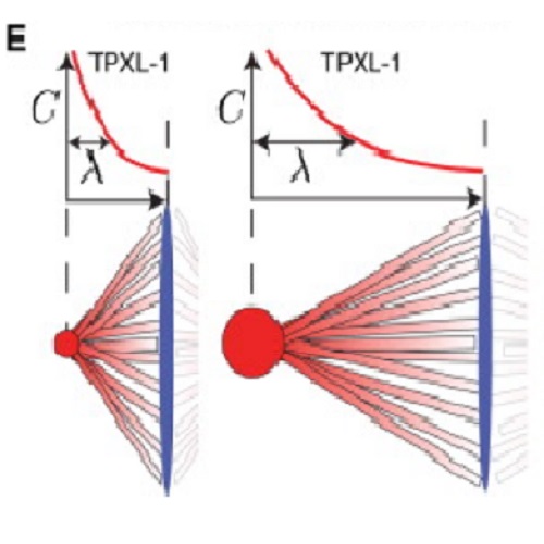 Fig.4 taken from Greenan et al, 2010.