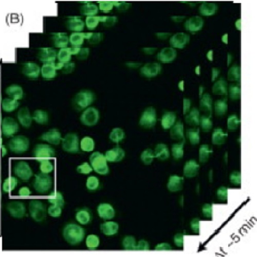 Fig.2 taken from Guizetti et al, 2010.