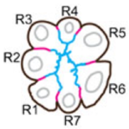 Fig.4 taken from Gurudev et al, 2014.