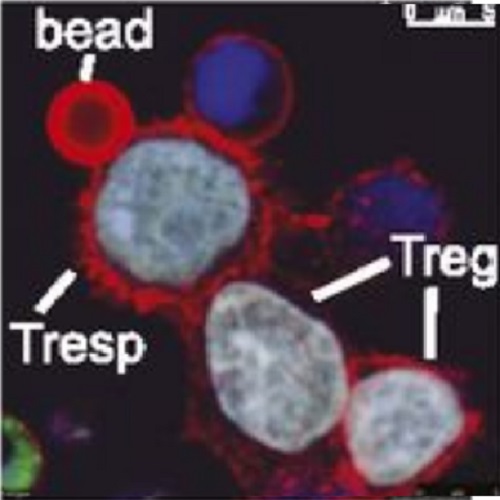 Fig.2 taken from Heninger et al, 2012.