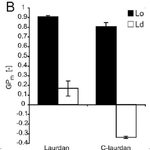 Fig.2 taken from Kaiser et al, 2009.