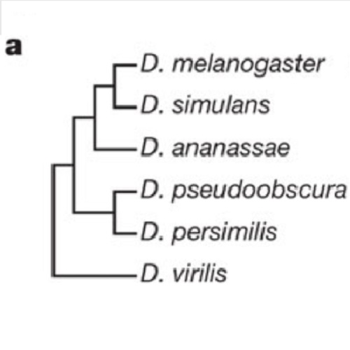 Fig.1 taken from Kalinka et al, 2010.