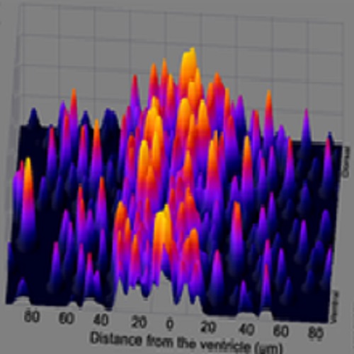 Fig.2 taken from Kizil et al, 2011.