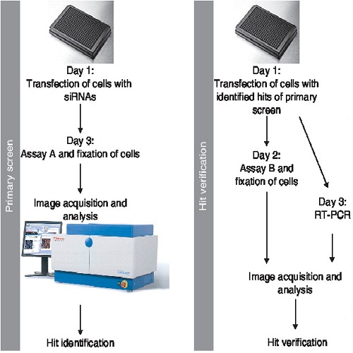 Fig.1 taken from Krausz et al, 2008.