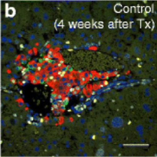 Fig.3 taken from Krautz et al, 2013.