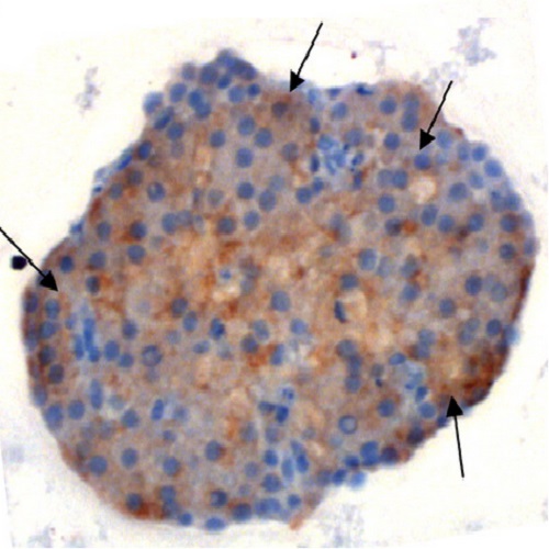 Fig.5 taken from Ludwig et al, 2010.