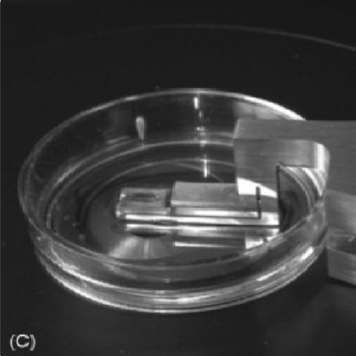 Fig.7 taken from McDonald et al, 2010.