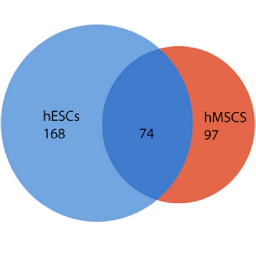 Fig.3 taken from Niehage et al, 2011.