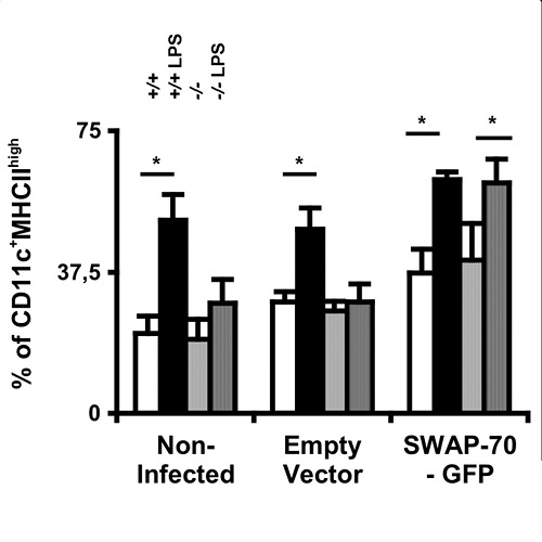 Fig.2 Ocana-Morgner et al, 2009.