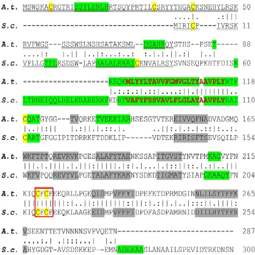 Fig.1 taken from Radin et al, 2015.