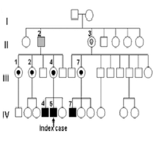 Fig.1 taken from Ranchin et al, 2010.