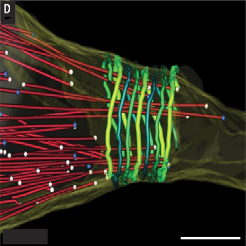 Fig.3 taken from Redemann et al, 2013.