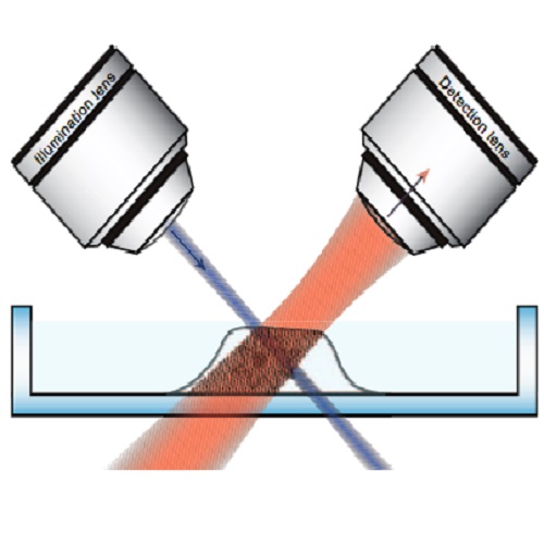 Fig.1 taken from Reynaud et al, 2015.