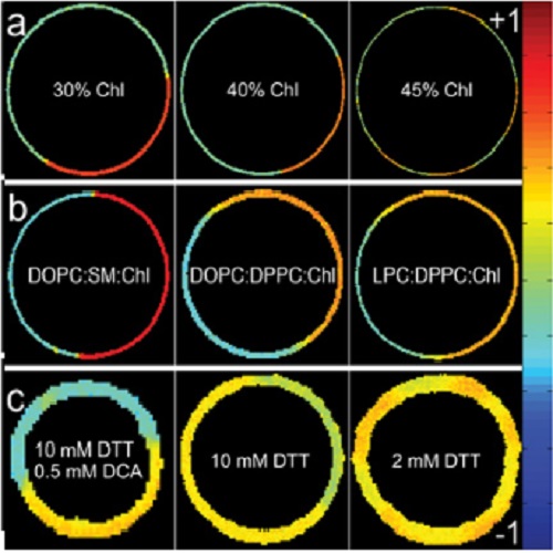 Fig.2 taken from Sezgin et al, 2015.