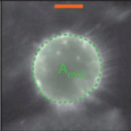 Fig.1 taken from Stewart et al, 2012.