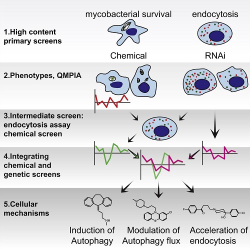 GA. taken from Sundaramurthy et al, 2013.