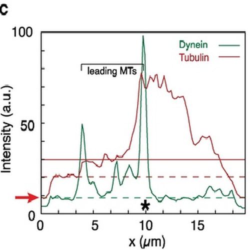 Fig.3 taken from Vogel et al, 2009.