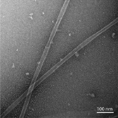 Fig.1 taken from Widlund et al, 2012.