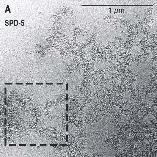 Fig.2 taken from Woodruff et al, 2015.