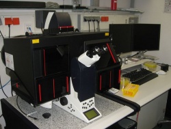 Bioz06 - Leica AFLX6000 TIRF.jpg