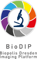 BioDIP-Logo hoch.png