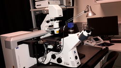 W7 - Zeiss Laser Microdissection new.jpg