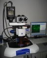 Bioz17 - StereoMicroscope.jpg